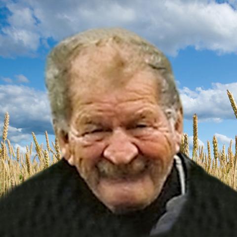 Fernand Pruneau