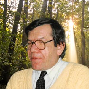 Raynald Brisson