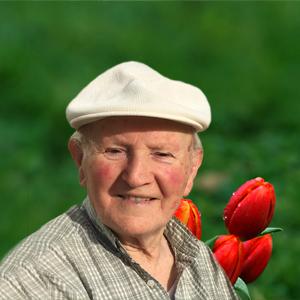 Peter Joosten