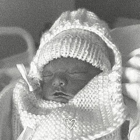 Henry Phillip Raysor