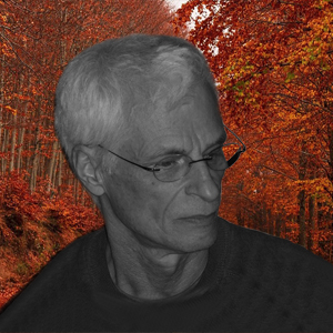 Gérald Perron