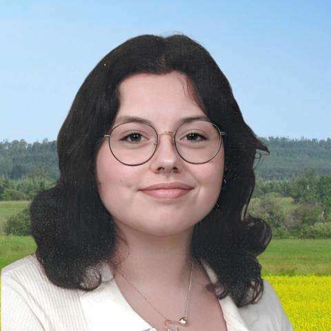 Ametyst Ménard