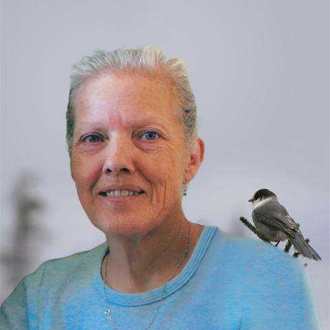 Réjeanne T Morissette