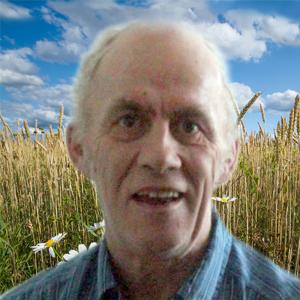 Rénald ''Raynald'' Labbé